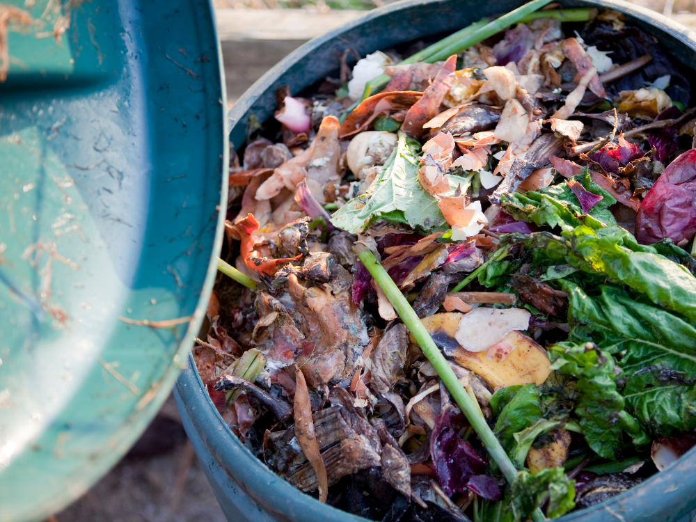 GUEST BLOG: Food Waste In America: One Big Issue, Many Possible Solutions
